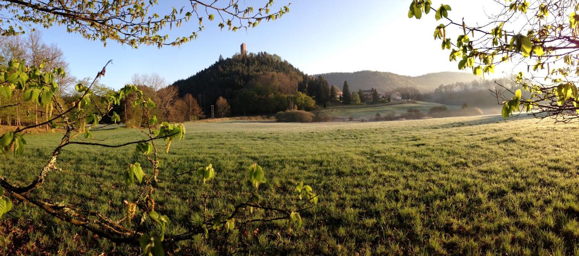 Le Gite De L'Ecureuil Sturzelbronn Dış mekan fotoğraf
