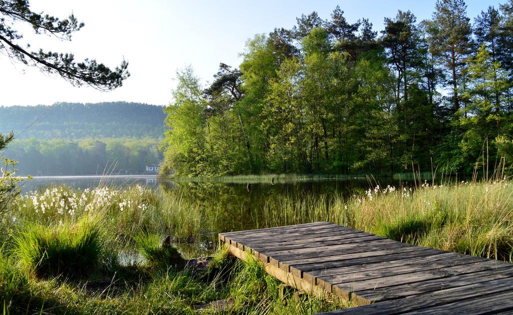 Le Gite De L'Ecureuil Sturzelbronn Dış mekan fotoğraf