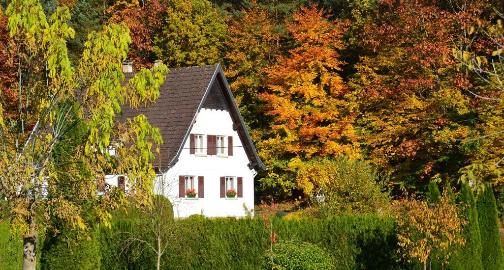 Le Gite De L'Ecureuil Sturzelbronn Dış mekan fotoğraf