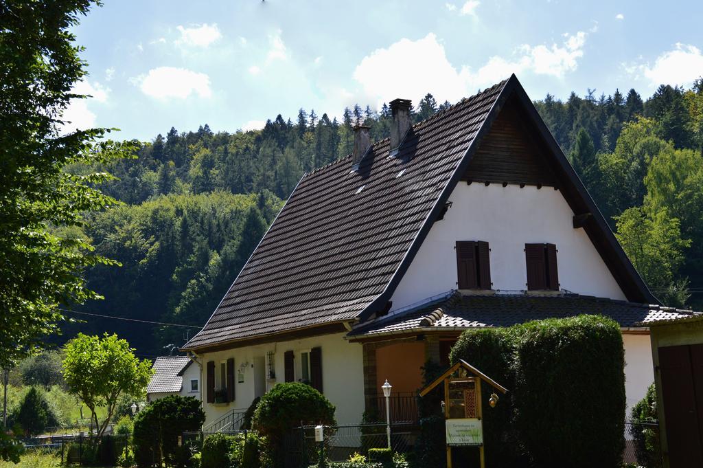 Le Gite De L'Ecureuil Sturzelbronn Dış mekan fotoğraf