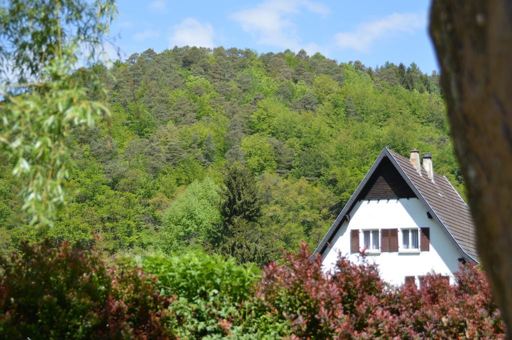 Le Gite De L'Ecureuil Sturzelbronn Dış mekan fotoğraf