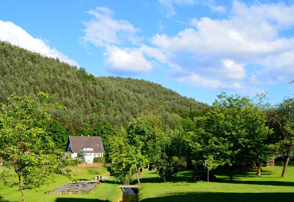 Le Gite De L'Ecureuil Sturzelbronn Dış mekan fotoğraf