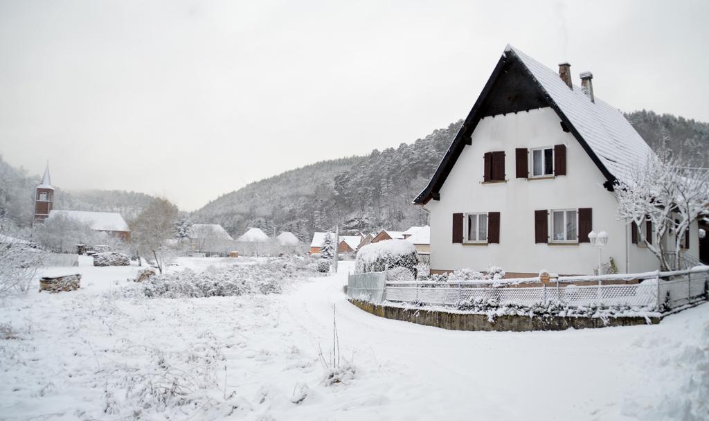 Le Gite De L'Ecureuil Sturzelbronn Dış mekan fotoğraf