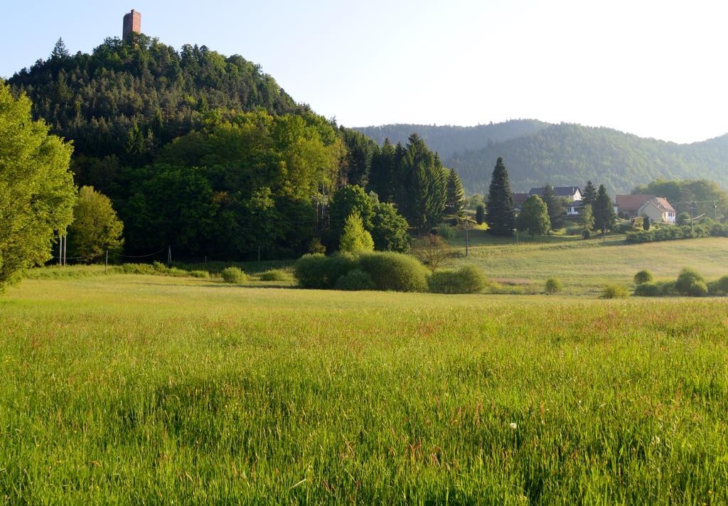Le Gite De L'Ecureuil Sturzelbronn Dış mekan fotoğraf