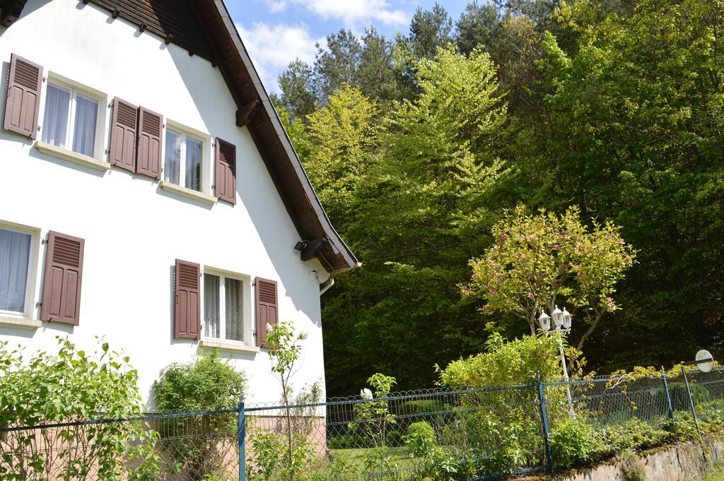 Le Gite De L'Ecureuil Sturzelbronn Dış mekan fotoğraf