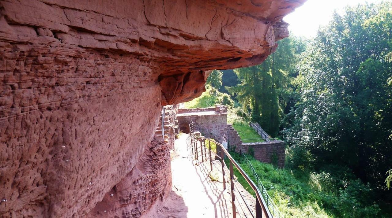 Le Gite De L'Ecureuil Sturzelbronn Dış mekan fotoğraf